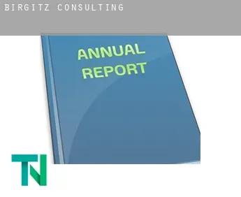 Birgitz  Consulting