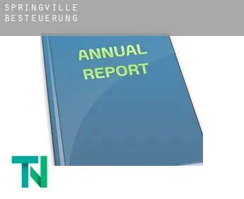 Springville  Besteuerung