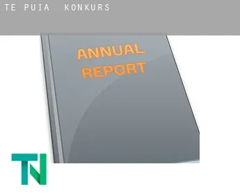 Te Puia  Konkurs