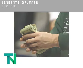 Gemeente Brummen  Bericht