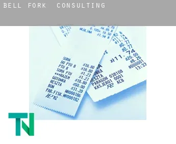 Bell Fork  Consulting