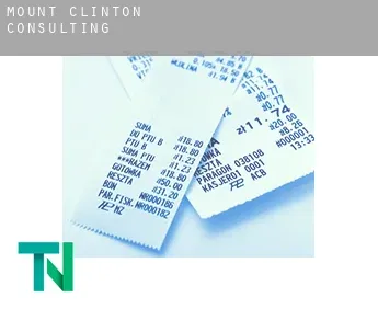 Mount Clinton  Consulting