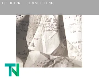 Le Born  Consulting