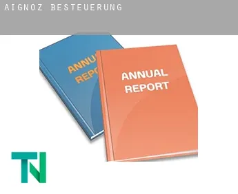 Aignoz  Besteuerung