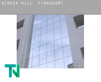 Ginger Hill  Finanzamt