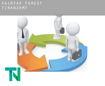 Fairfax Forest  Finanzamt