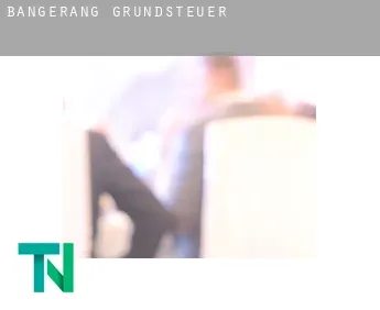 Bangerang  Grundsteuer