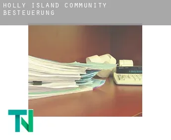 Holly Island Community  Besteuerung