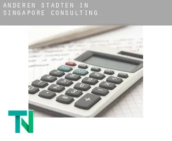 Anderen Städten in Singapore  Consulting