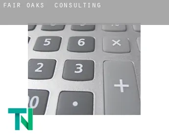 Fair Oaks  Consulting