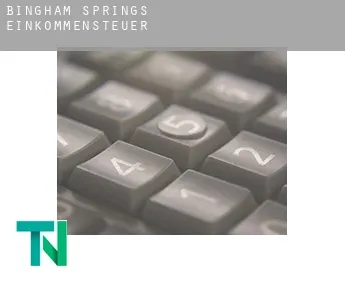 Bingham Springs  Einkommensteuer