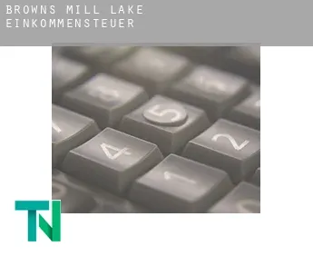 Browns Mill Lake  Einkommensteuer