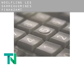 Wœlfling-lès-Sarreguemines  Finanzamt