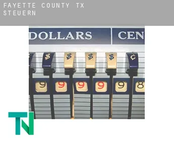 Fayette County  Steuern