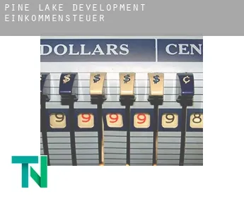 Pine Lake Development  Einkommensteuer