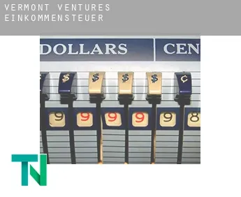 Vermont Ventures  Einkommensteuer