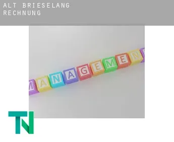 Alt Brieselang  Rechnung