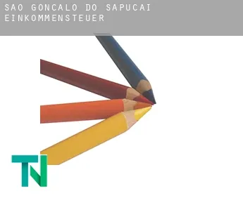 São Gonçalo do Sapucaí  Einkommensteuer