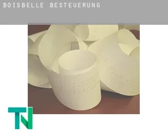 Boisbelle  Besteuerung