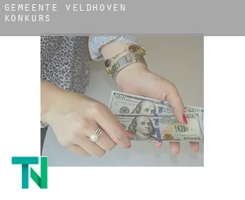 Gemeente Veldhoven  Konkurs