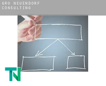 Groß Neuendorf  Consulting