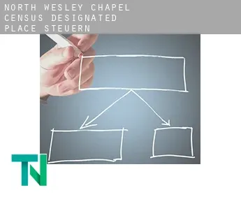 North Wesley Chapel  Steuern