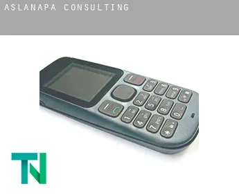 Aslanapa  Consulting