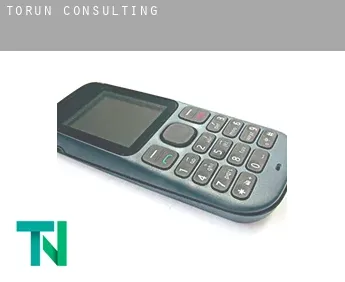 Thorn  Consulting