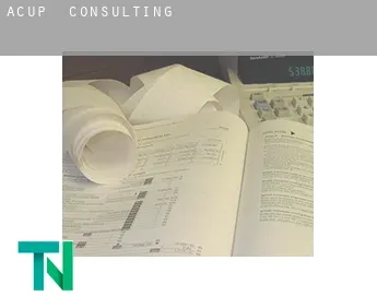Acup  Consulting