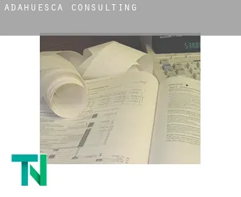 Adahuesca  Consulting