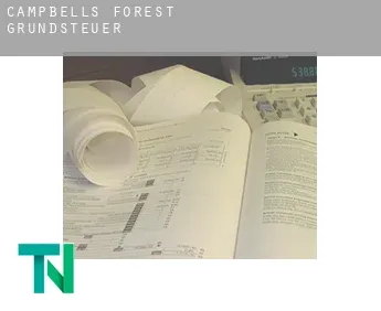 Campbells Forest  Grundsteuer