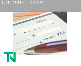 Blue Creek  Konkurs