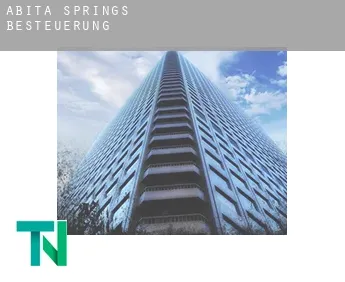 Abita Springs  Besteuerung