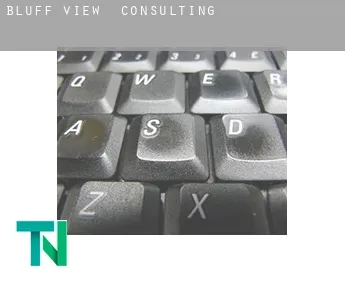 Bluff View  Consulting