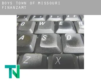 Boys Town of Missouri  Finanzamt