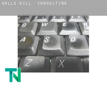 Halls Hill  Consulting