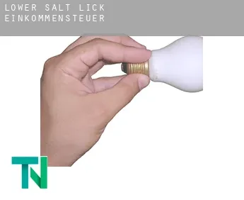 Lower Salt Lick  Einkommensteuer