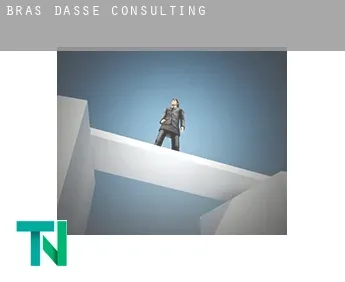 Bras-d'Asse  Consulting