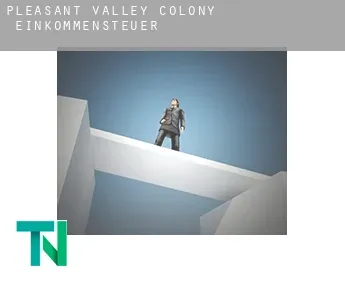 Pleasant Valley Colony  Einkommensteuer