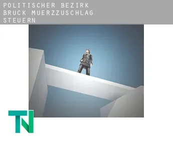 Politischer Bezirk Bruck-Muerzzuschlag  Steuern