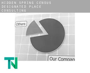 Hidden Spring  Consulting