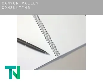 Canyon Valley  Consulting