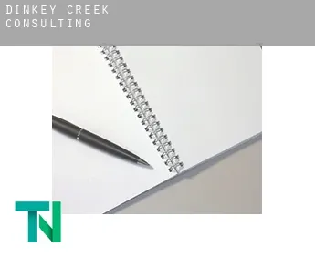 Dinkey Creek  Consulting
