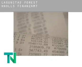 Lagunitas-Forest Knolls  Finanzamt