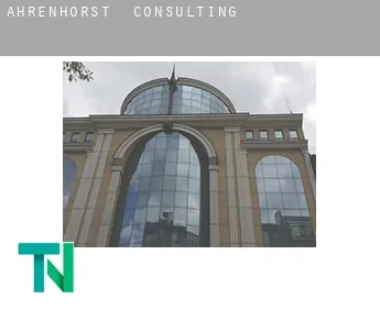 Ahrenhorst  Consulting