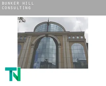 Bunker Hill  Consulting