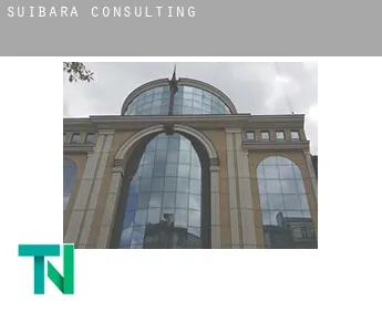 Suibara  Consulting