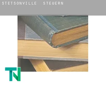 Stetsonville  Steuern