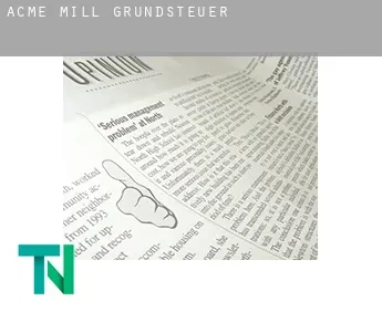 Acme Mill  Grundsteuer