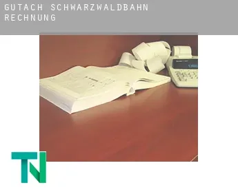 Gutach (Schwarzwaldbahn)  Rechnung